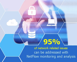 NetFlow Monitoring for Network Management